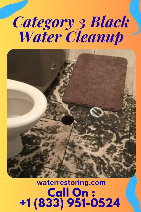 Category 3 Black Water Cleanup in Cruger, MS