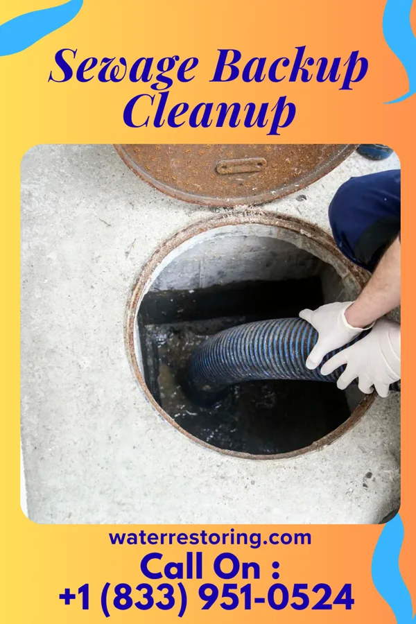 Sewage Backup Cleanup in Cruger, MS