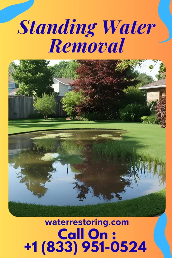 Standing Water Removal in Cruger, MS